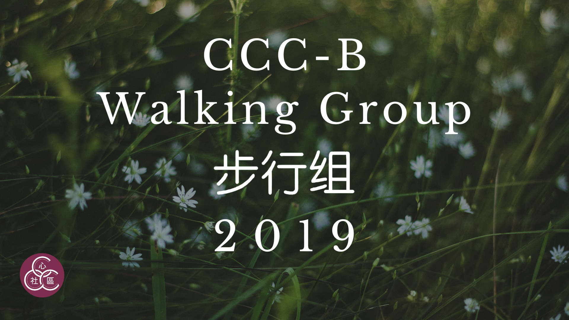CCC-B Walking Group 步行组 2019