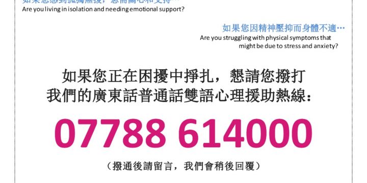 Chinese people Counselling Service – 心理咨询辅导服务